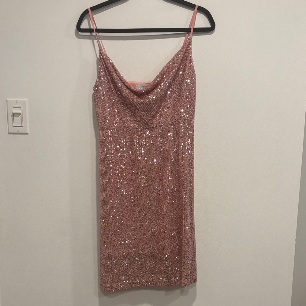 Greylin Sparkling Rose Mini Dress